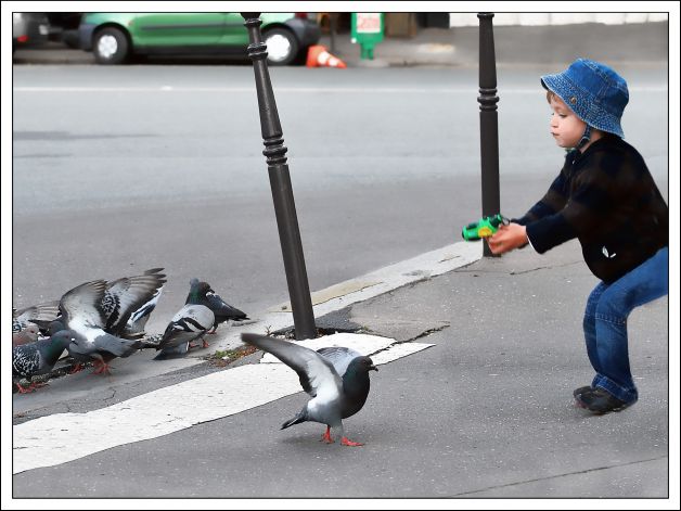 ARRIBA LAS ALAS !!!!!