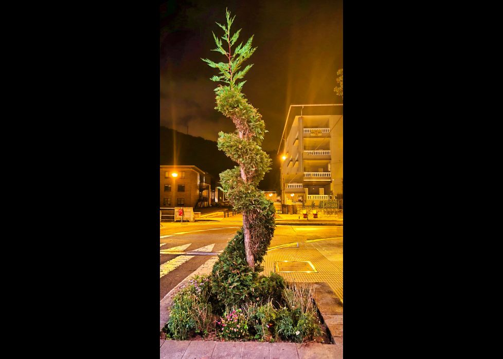 Arte en la naturaleza