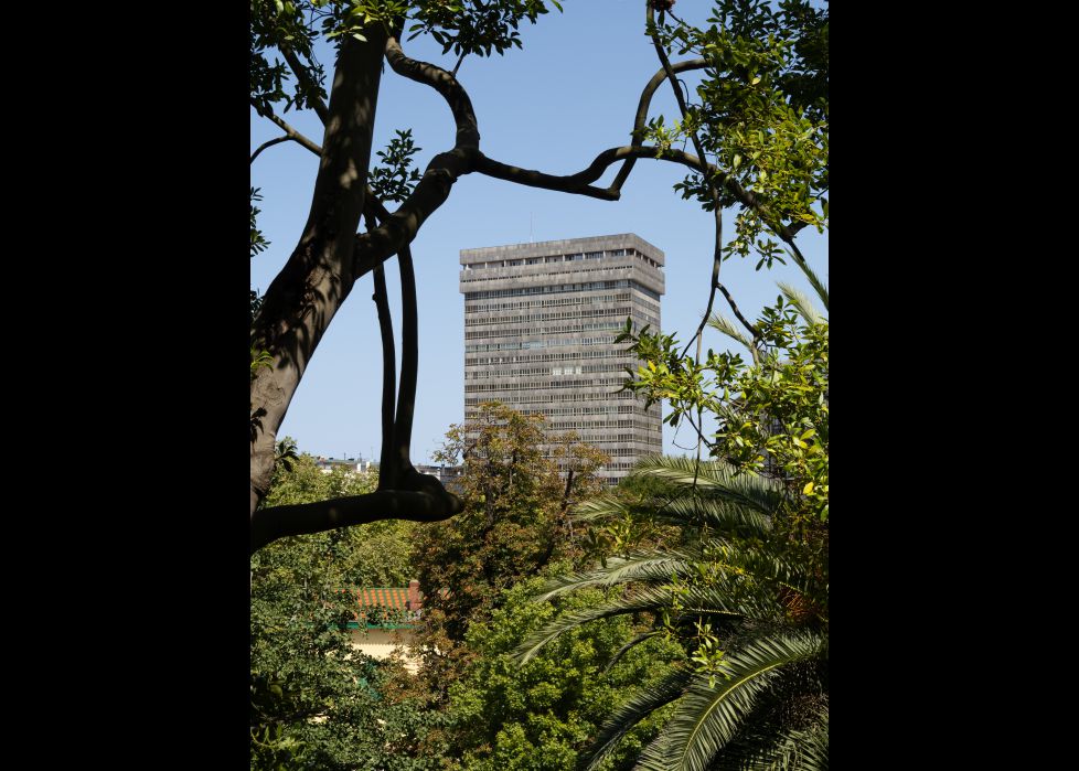 Atotxa desde la jungla