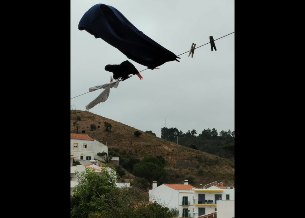 Bailando con el viento