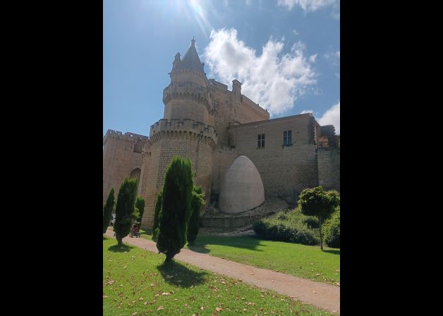 Castillo de Olite