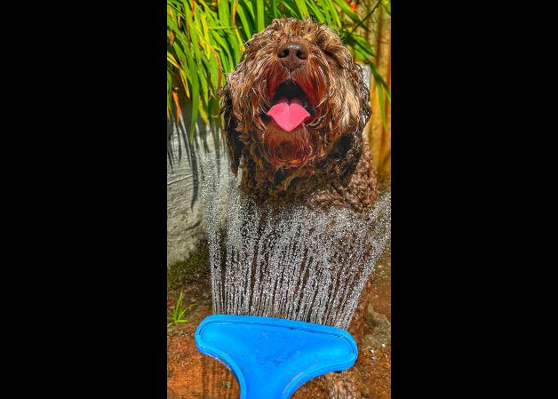 Chocolate se nos derrite este mes de Agosto