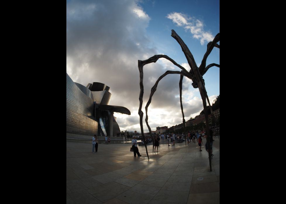 Claroscuro con araña