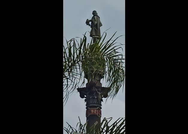 Colón entre palmeras. 