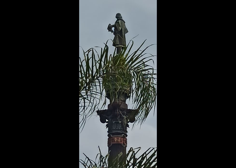 Colón entre palmeras. 