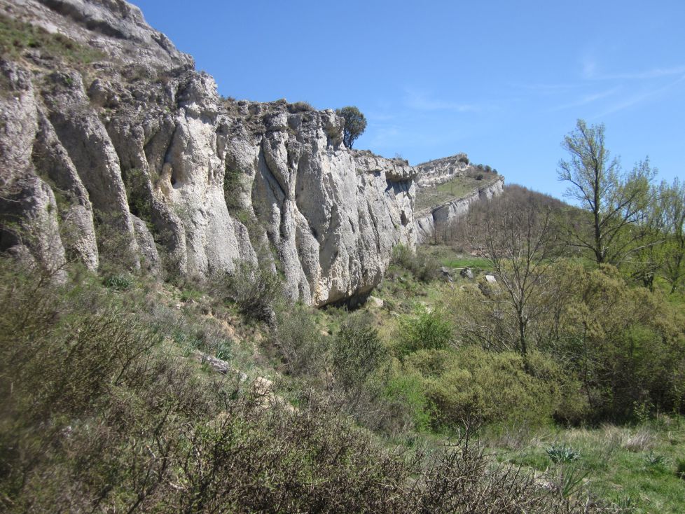 Corrientes torrenciales se registran en la caliza.