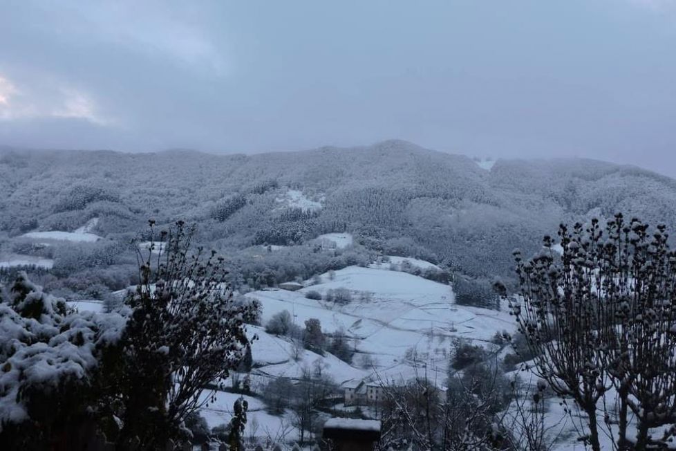 Cuando menos me lo espero estoy en narnia
