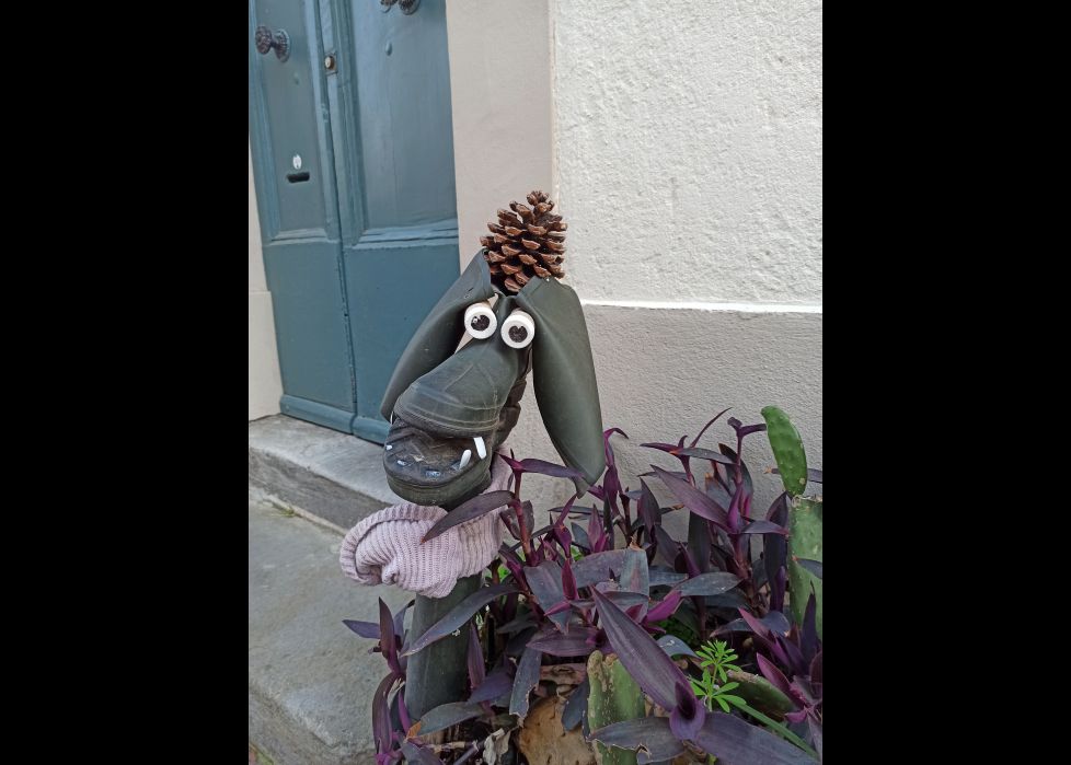 cuidado con el perro