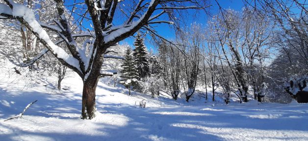 Después de la tempestad la calma