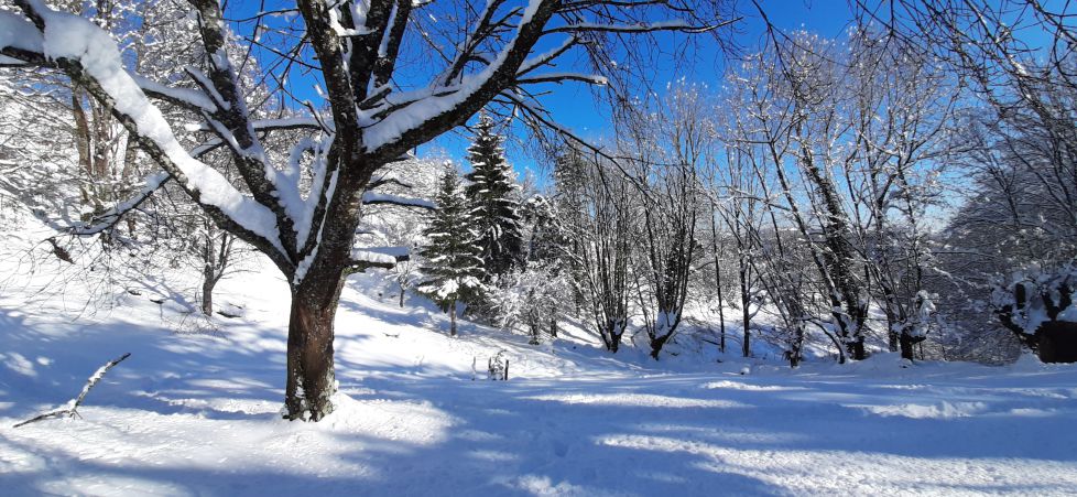 Después de la tempestad la calma