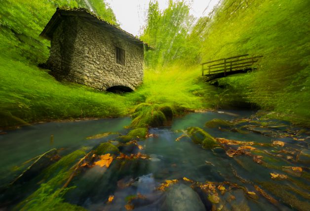 Destellos de la naturaleza