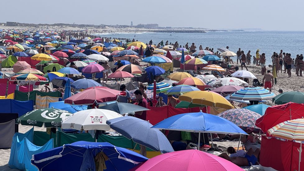 Donde pongo mi toalla?