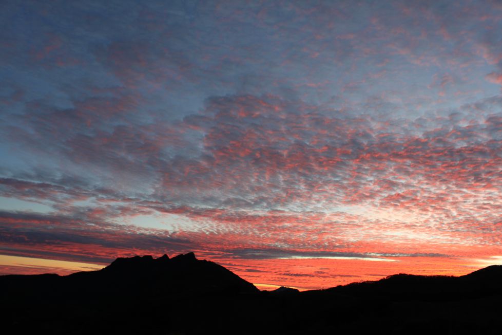 Egunsenti harrigarria