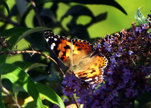 Entre luces y sombras