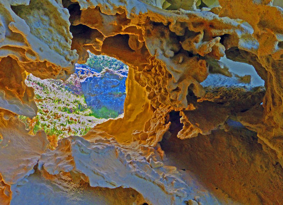 Escultura abstracta de la Naturaleza.