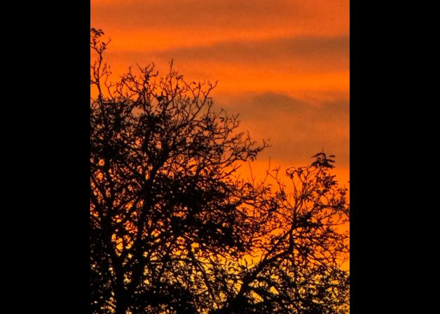 Fuego en el horizonte 