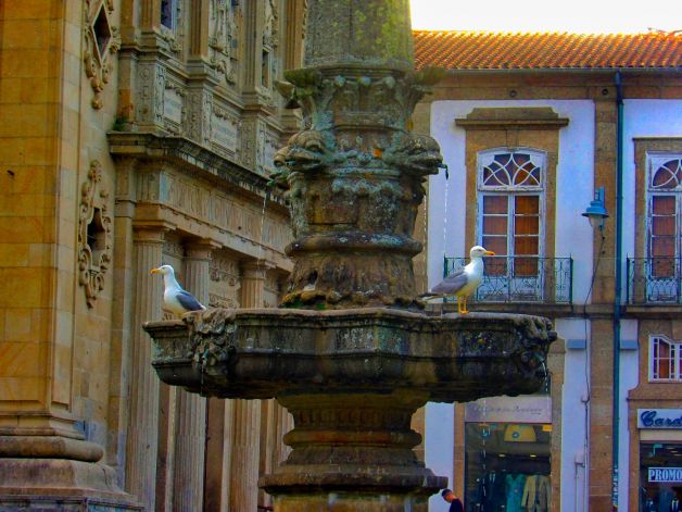 La fuente de la discordia 