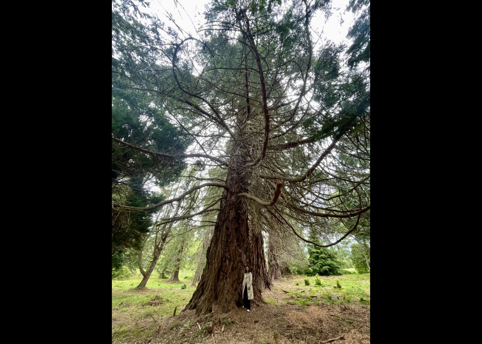La fuerza de la naturaleza