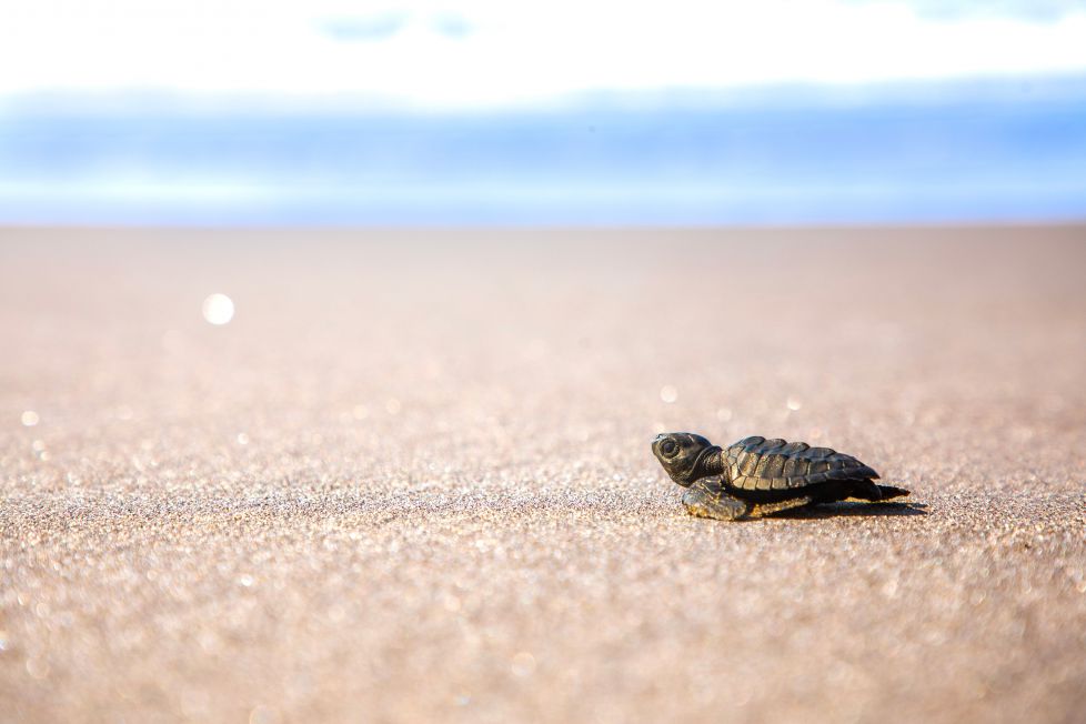 No hay un final, hay un comienzo.