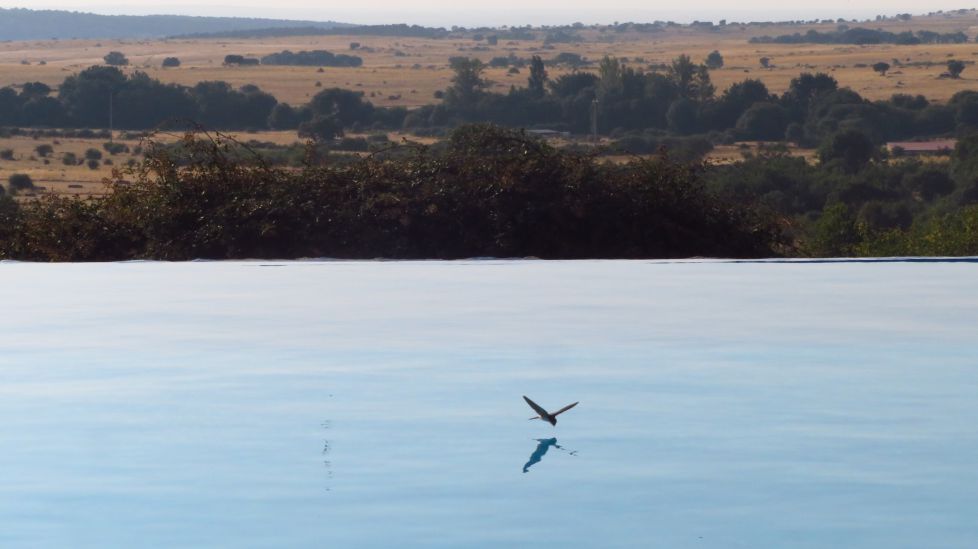 Ispiluan begira.Mirandose en el espejo