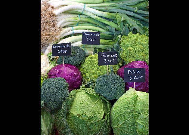 manifestación vegana