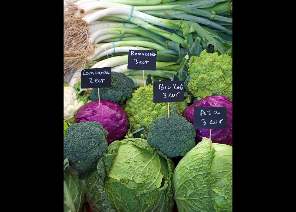 manifestación vegana