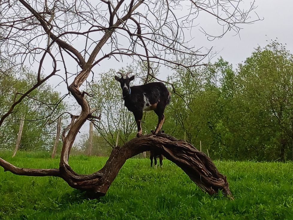 Mis vacaciones en donosti