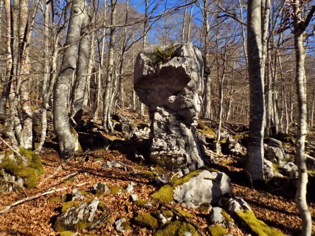 Monolito de caliza erosionada 