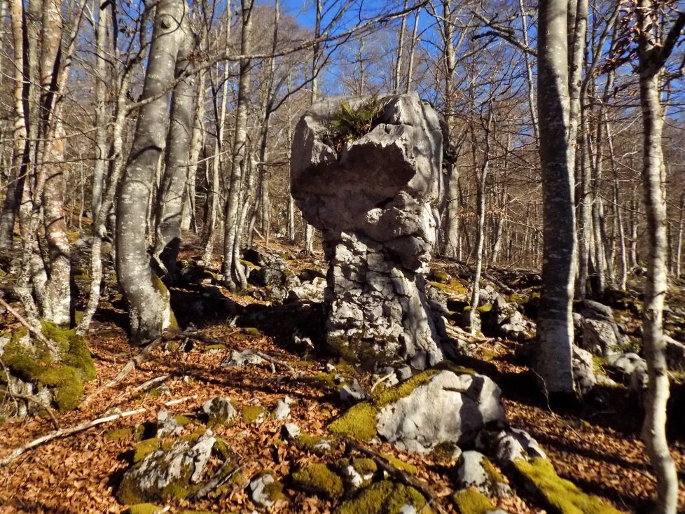 Monolito de caliza erosionada 