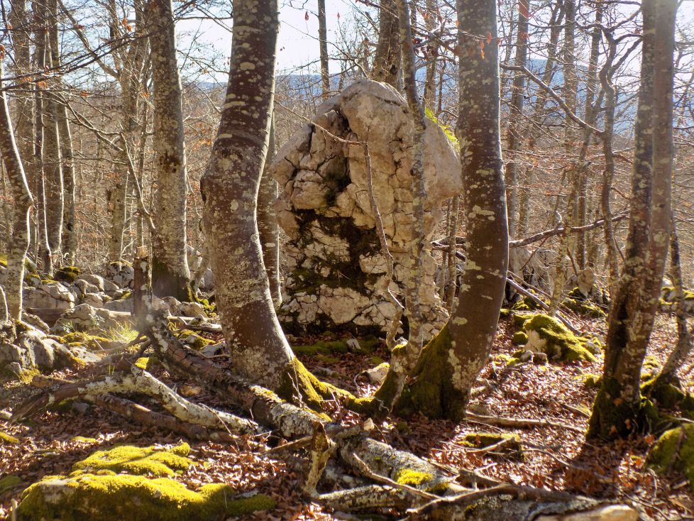 El monolito encerrado