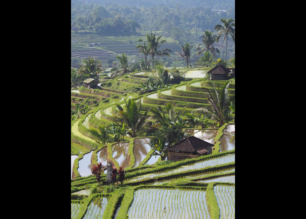 La montaña sembrada