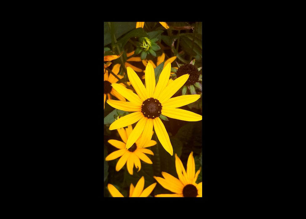 Mucho más que color.