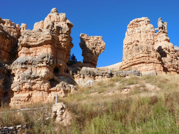 La Naturaleza no necesita formarse en arquitectura.