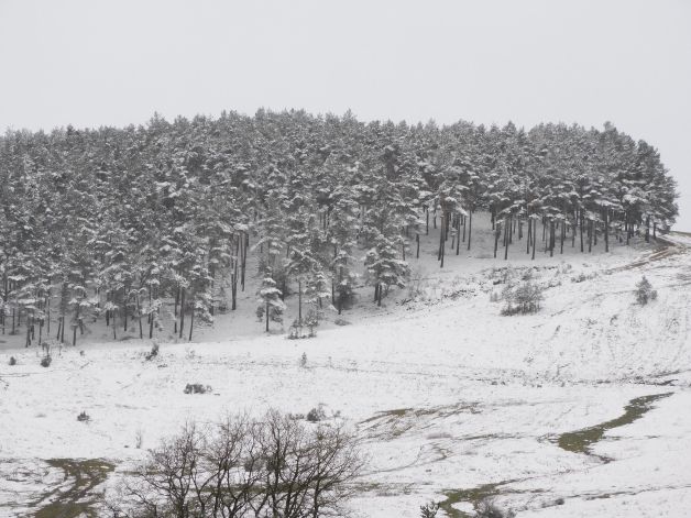 Paisaje de cuento invernal.