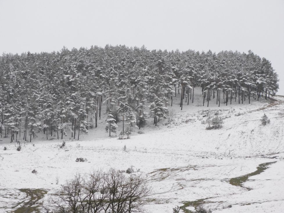Paisaje de cuento invernal.