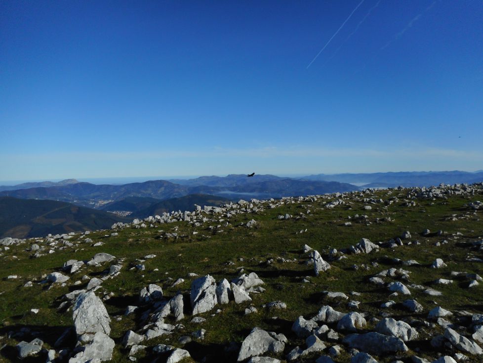 Paisaje de Harri Urdin. 