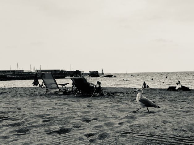 Paseante en la playa
