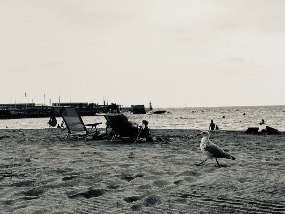 Paseante en la playa