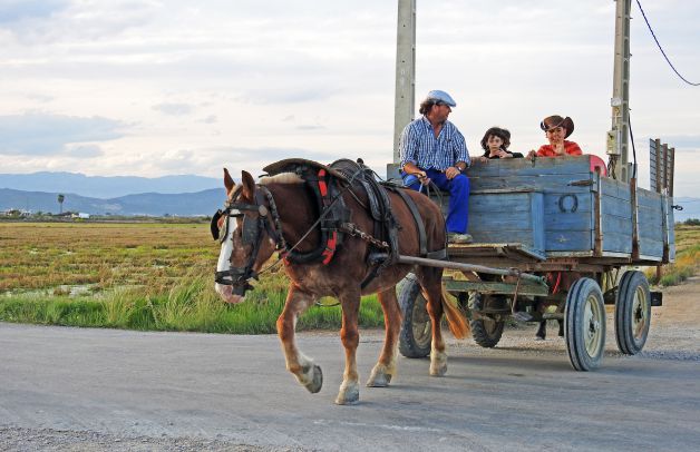 Paseo por el Delta del Ebro.