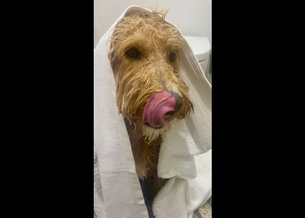 Peio saboreando el final del bano