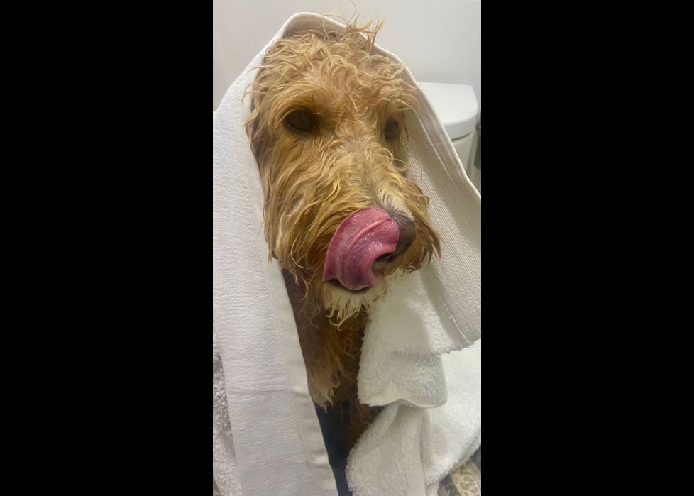 Peio saboreando el final del bano