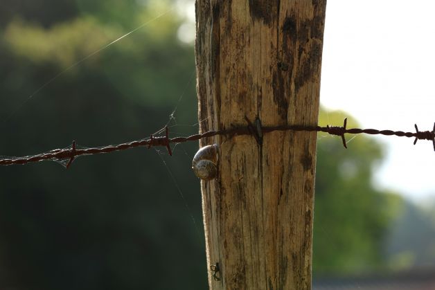 Pixkanaka badijoa barraskilloa.