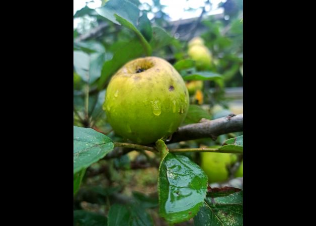 Por fin llega la lluvia!! 