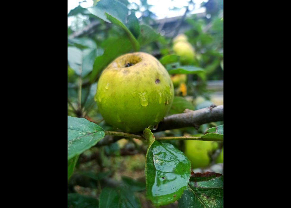 Por fin llega la lluvia!! 