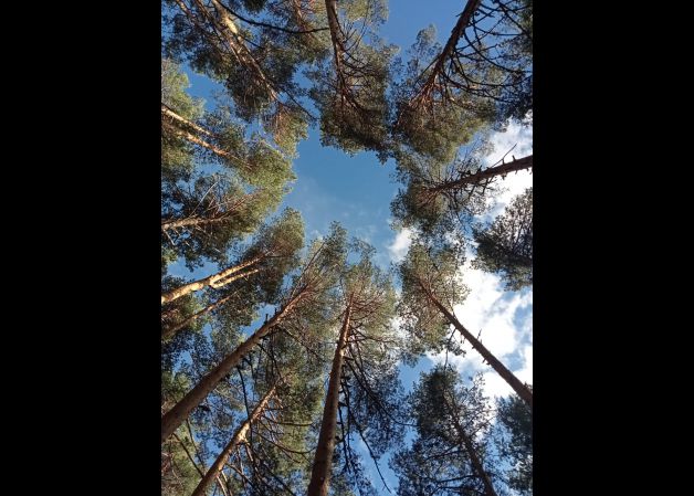 Lo que necesitamos y no logramos: consenso