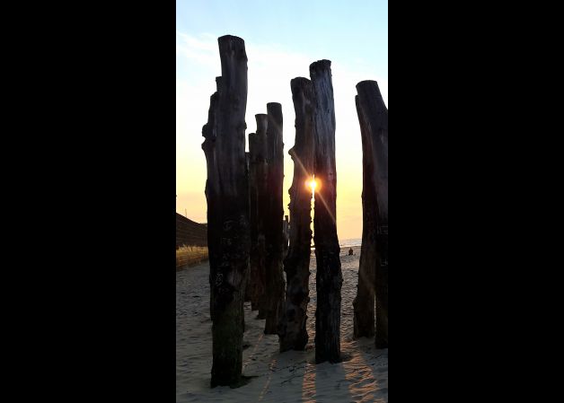 ¡Y que tan poco inspire tanta paz!