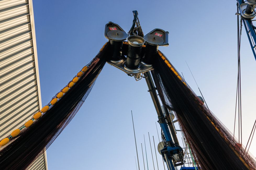 recogiendo las redes,