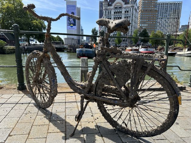 ¡HE RECUPERADO MI BICICLETA!