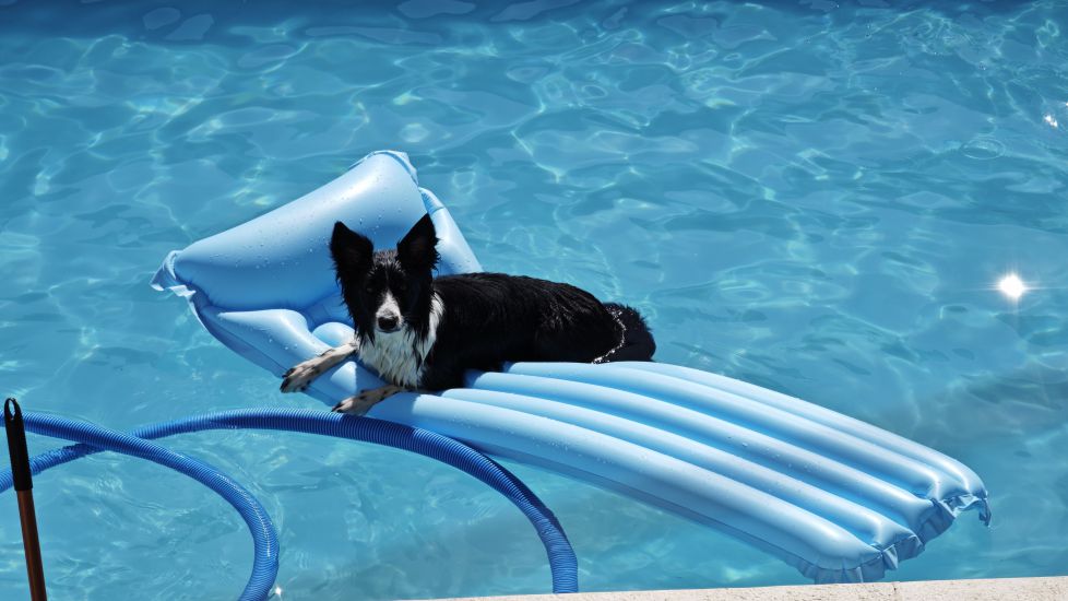 La reina de la piscina