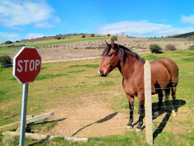 Respetuoso con las normas